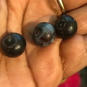 Meet your Posher, Constance